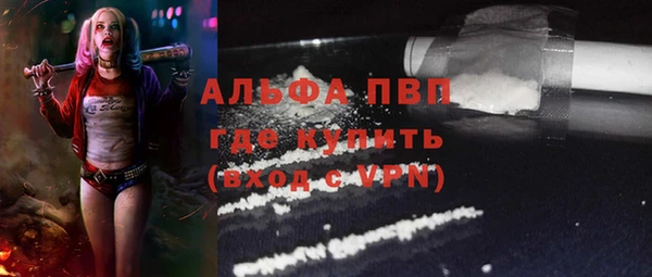 СК Аркадак