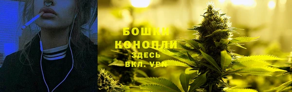 СК Аркадак