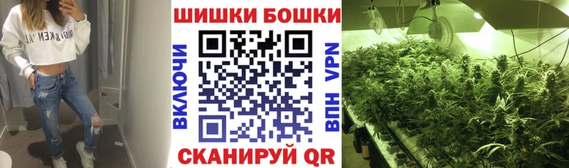 Канабис ГИДРОПОН сколько стоит это наркотические препараты Бавлы